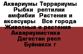 Аквариумы.Террариумы.Рыбки, рептилии, амфибии. Растения и аксесуары - Все города Животные и растения » Аквариумистика   . Дагестан респ.,Буйнакск г.